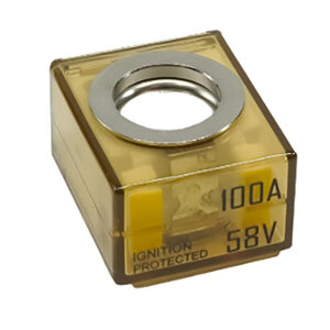Egis MRBF Terminal Fuse – 100 Amp